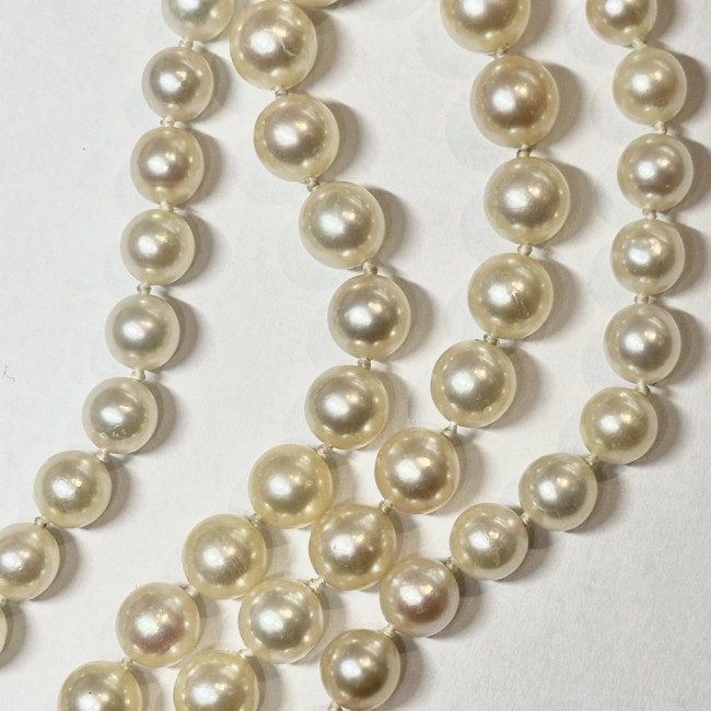Collier chute de 63 Perles & fermoir or jaune 750